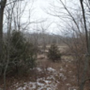 Meet your Posher, Danny